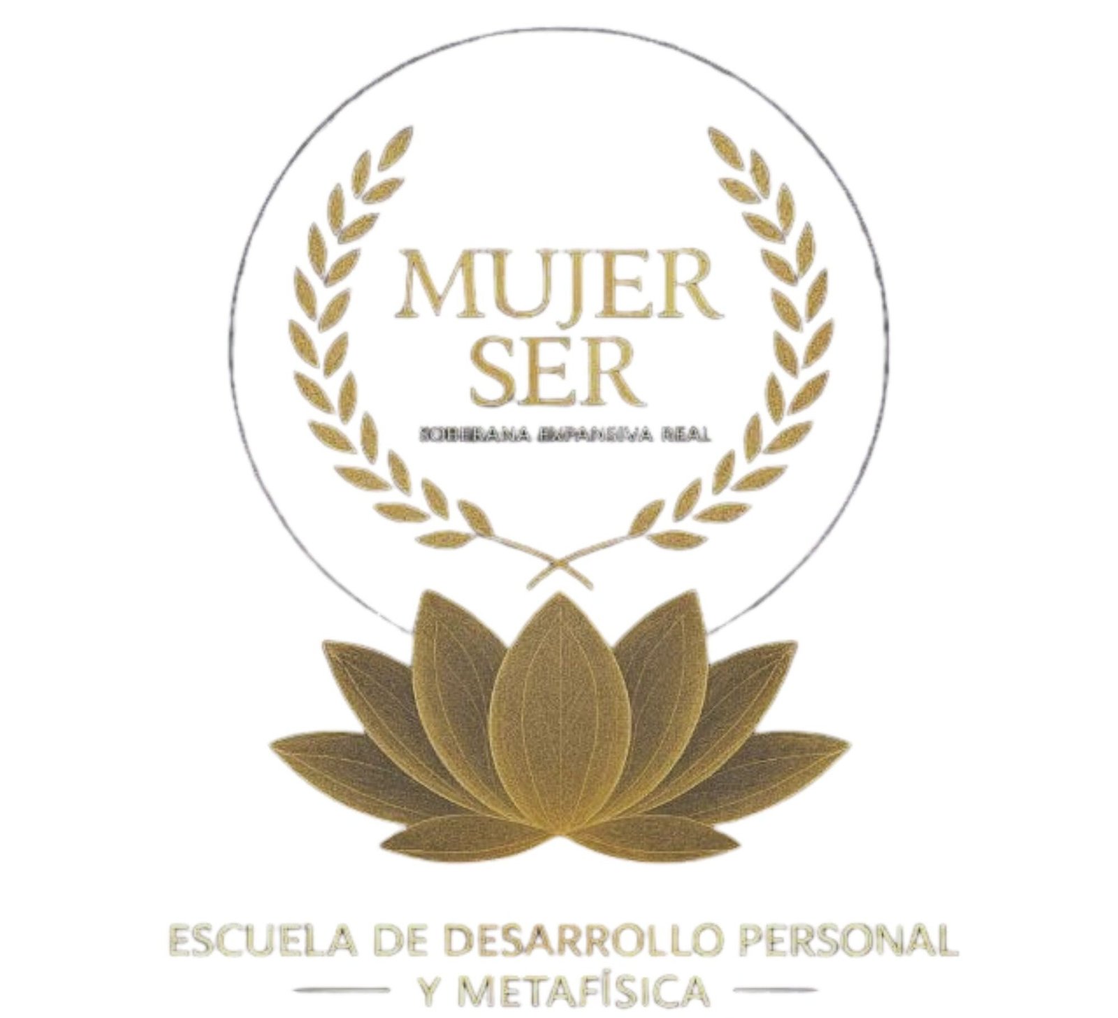 logo transparente